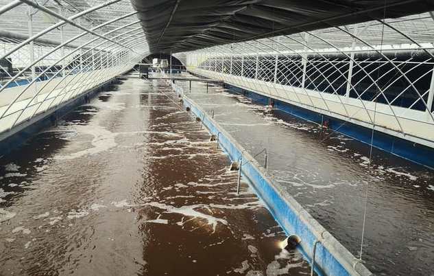 畜禽污水處理的方法、步驟（主流畜禽污水處理工藝有哪些）